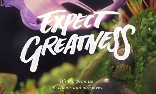 �W(w��ng)վ�OӋ �W(w��ng)վ�OӋ�p�R �W(w��ng)վ�����OӋ �W(w��ng)վ�����D